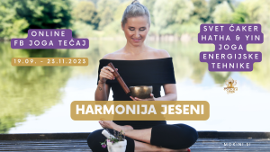 joga-tecaj-online_cakre_mokini-yoga_hatha-joga_yin-joga_energijske-tehnike_jesenska-harmonija