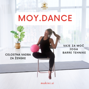 tecaj-za-zenske_barre_joga_vaje-za-moc_pilates_mokini-yoga